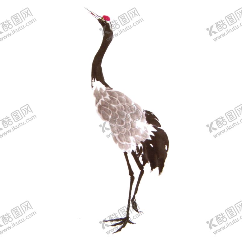 编号：52463110231201529332【酷图网】源文件下载-仙鹤