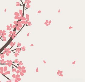 樱花