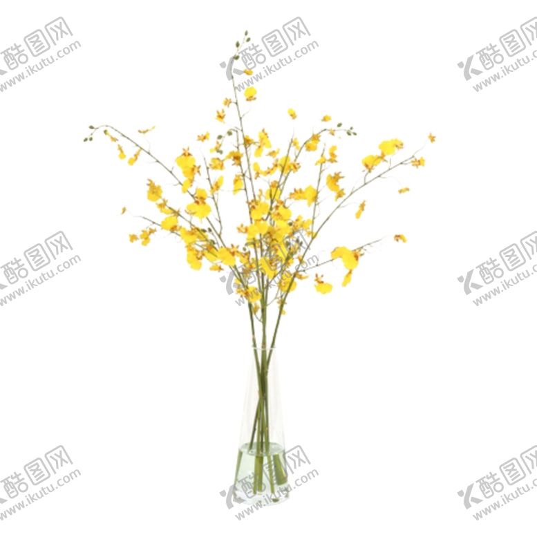 编号：88386109261653315716【酷图网】源文件下载-免抠背景花草树木