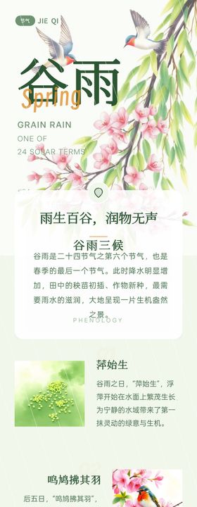 朋友圈清新谷雨节气长图海报