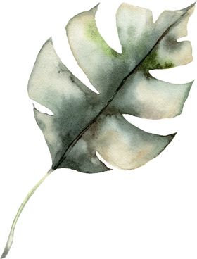 植物花朵装饰图案