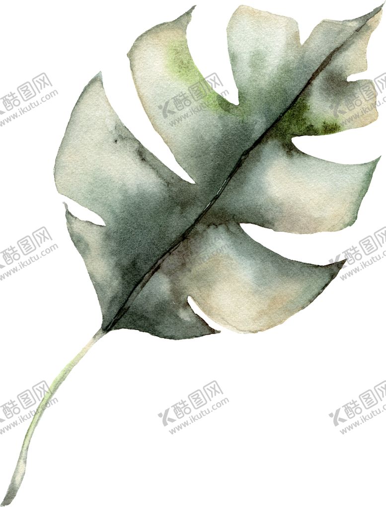 编号：47783910290154544448【酷图网】源文件下载-植物花朵装饰图案