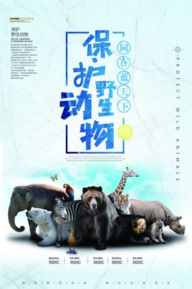 保护野生动物