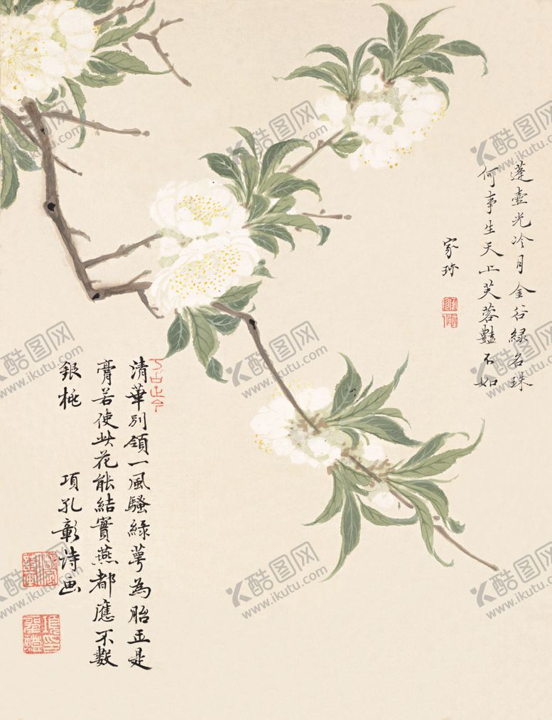 编号：87256606271039526443【酷图网】源文件下载-精美工笔花卉图