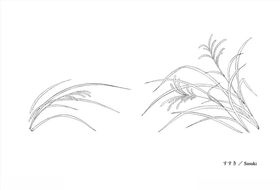 线描花朵