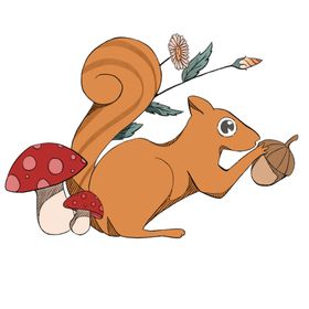 卡通手绘松鼠