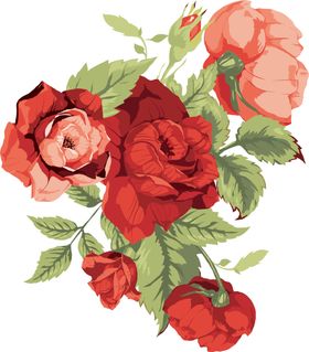 花朵鲜花素材