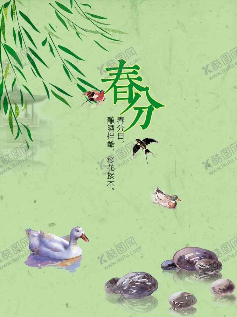 编号：16728607081910509929【酷图网】源文件下载-鸭子游泳