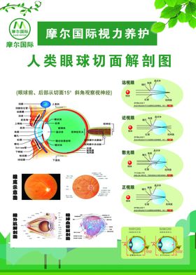 肛肠科系统解刨示意图