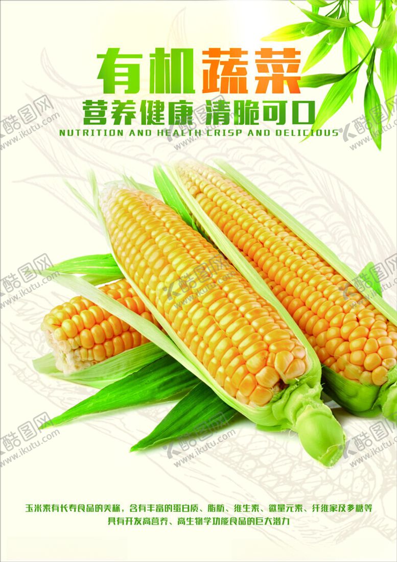 编号：87486102280143144433【酷图网】源文件下载-有机蔬菜