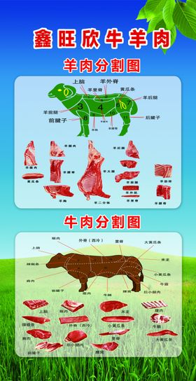 牛肉肉图片