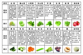 蔬菜营养表