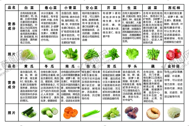 编号：33170706301232436956【酷图网】源文件下载-蔬菜营养表