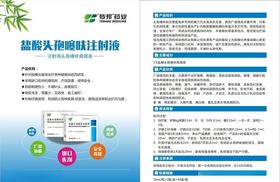彩页设计