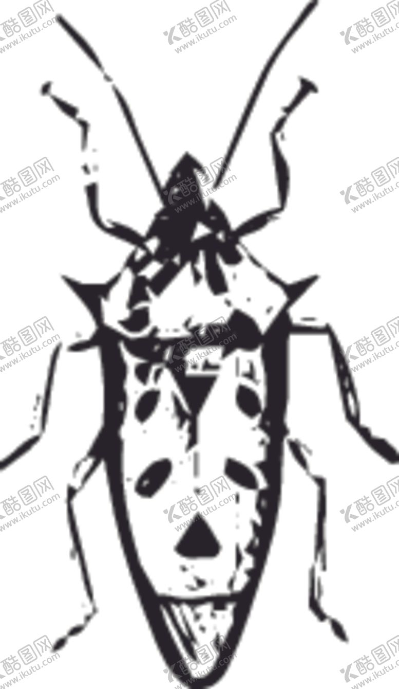 编号：49417909172224173220【酷图网】源文件下载-自然昆虫蝴蝶标本插画