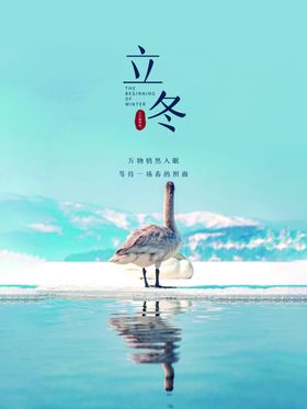 立冬节气传统节气地产海报