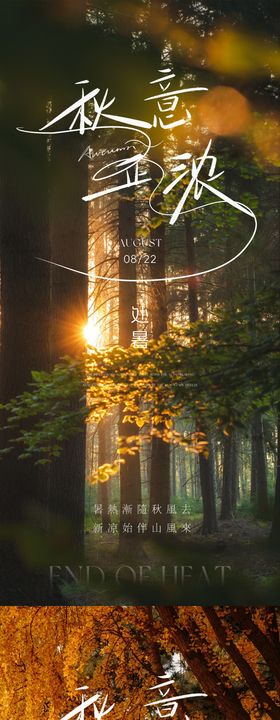 处暑节气移动端海报