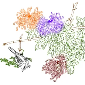 高清透明工笔画线稿之菊花小品