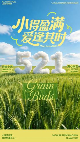 小满节气海报商场地产刷屏稿