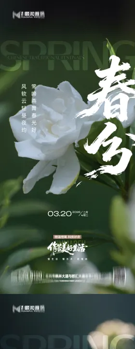 龙抬头春分节日节气海报春天