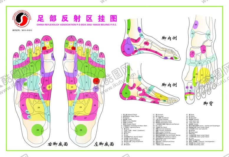 编号：59202309130352079042【酷图网】源文件下载-足疗