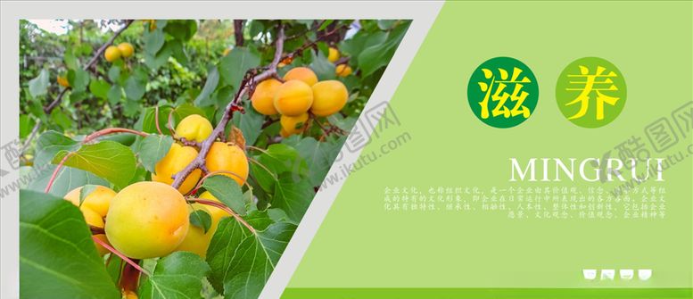 编号：86295306172059529776【酷图网】源文件下载-水果海报