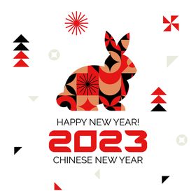 兔年插画新年海报