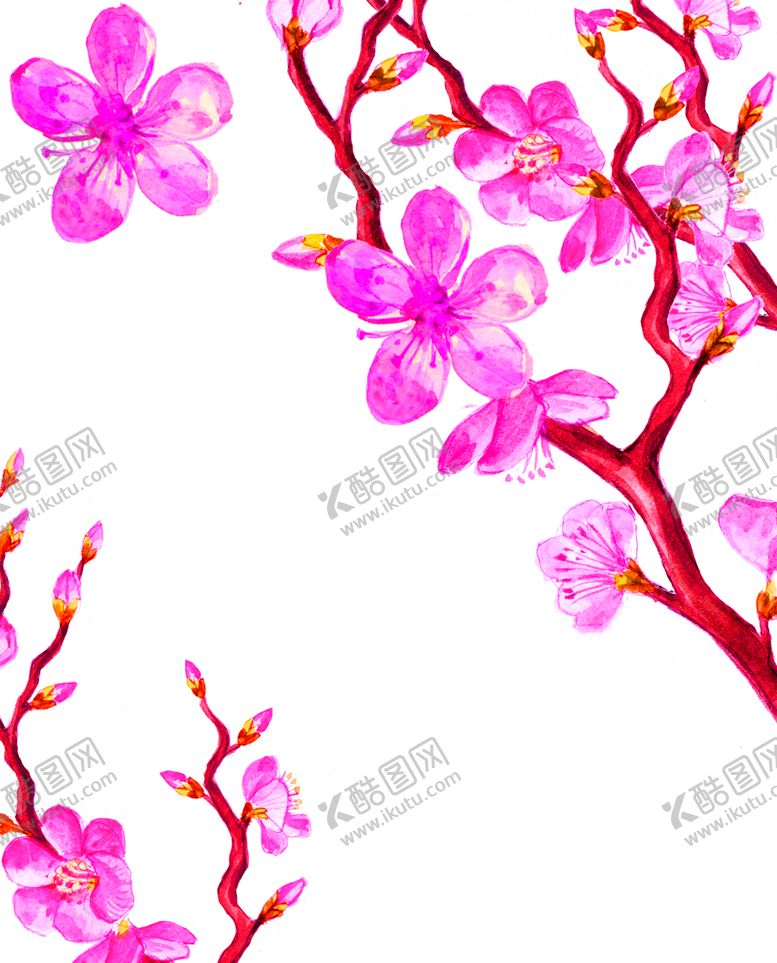 编号：45182005172140006141【酷图网】源文件下载-花素材