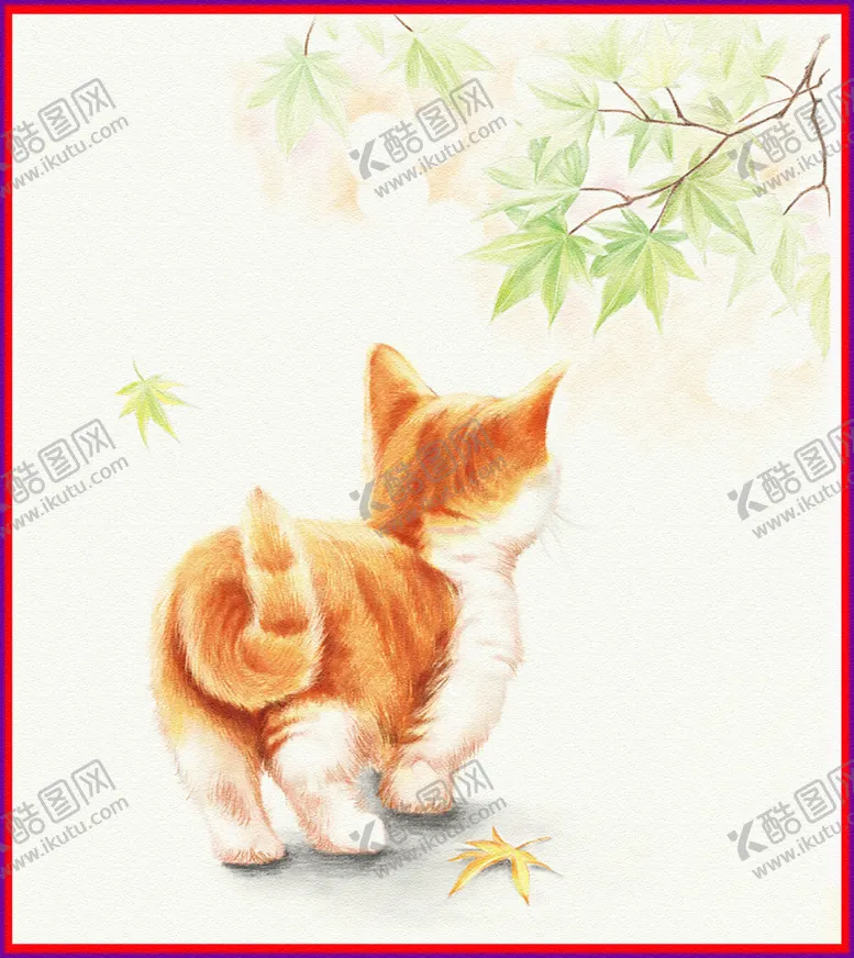 编号：79153704270100521613【酷图网】源文件下载-猫猫