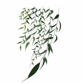 清明节素材插图插图果