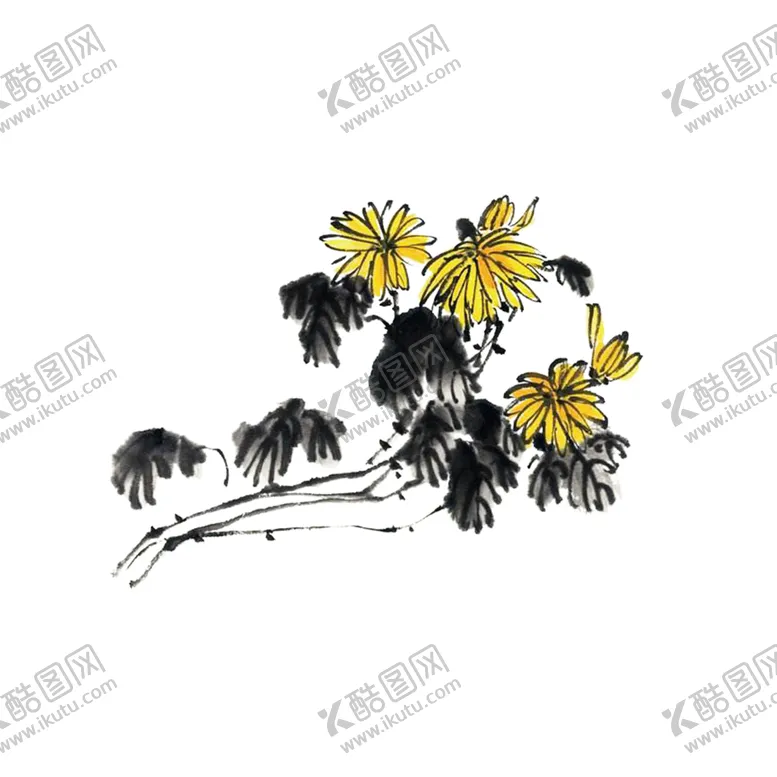 编号：59886609120943576309【酷图网】源文件下载-国画菊花