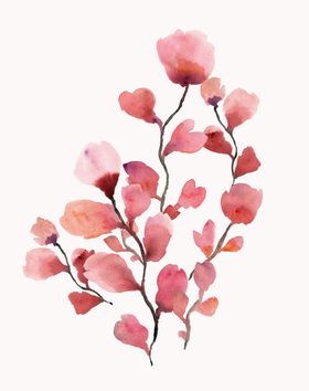 植物花儿