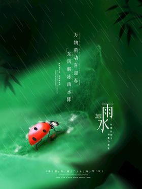 雨水海报广告高端节气稿二十四节气