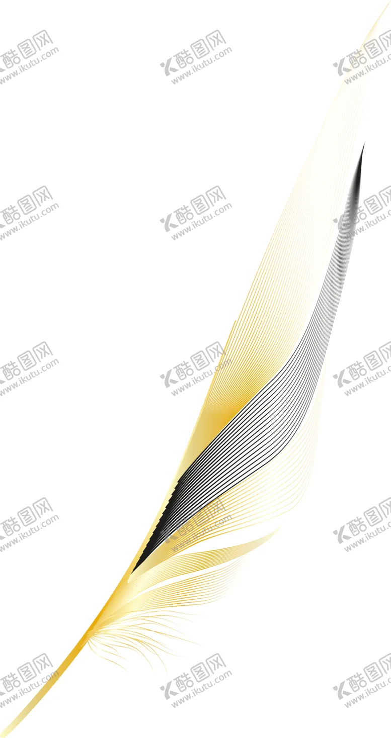 编号：51108802171219462722【酷图网】源文件下载-羽毛 素材
