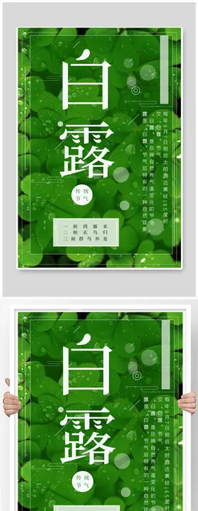 白露节气清新海报