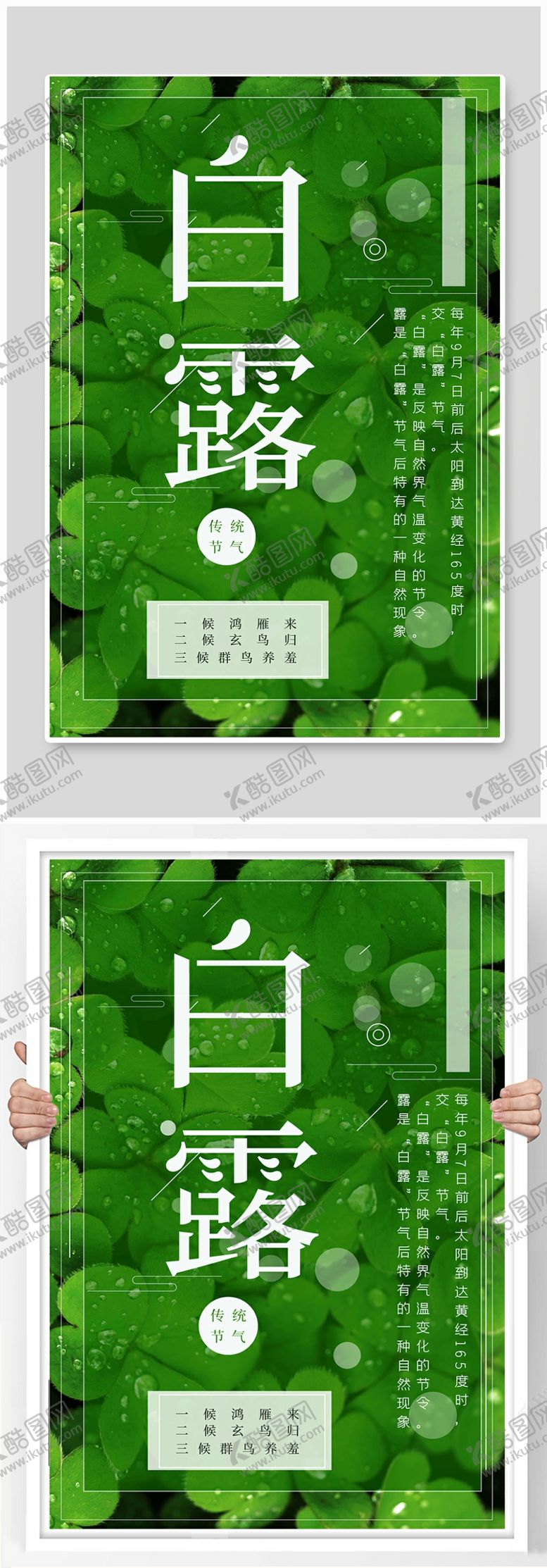 编号：93137206252045324436【酷图网】源文件下载-白露节气清新海报