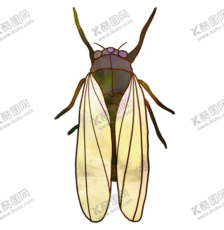 编号：88236304172007448621【酷图网】源文件下载-知了卡通夏日昆虫