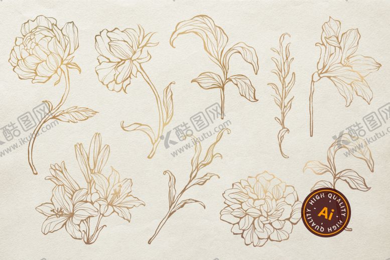 编号：76231711062137515707【酷图网】源文件下载-白描花朵矢量素材