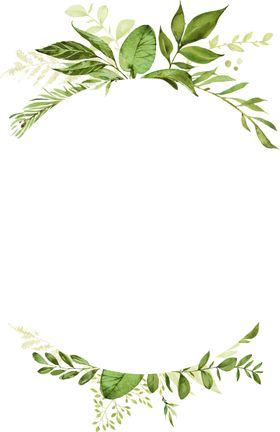 手绘植物叶子