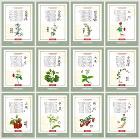 中医养生中药海报