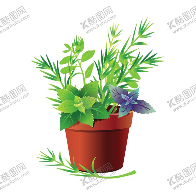 编号：10508110021342354955【酷图网】源文件下载-绿色相框