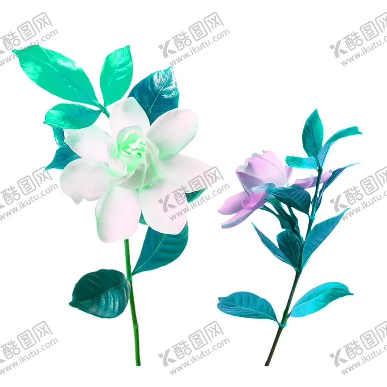编号：69484106301057271914【酷图网】源文件下载-花素材