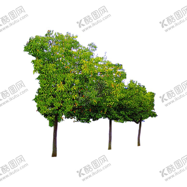 编号：84719510011101348174【酷图网】源文件下载-绿色装饰