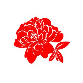 牡丹花