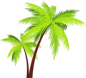 绿色植物