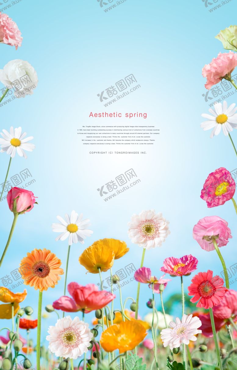 编号：82557810311009036787【酷图网】源文件下载-唯美海报