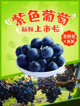 葡萄采摘采摘节有机