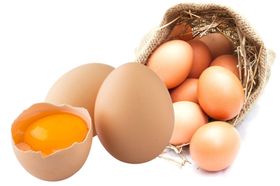 鸡蛋