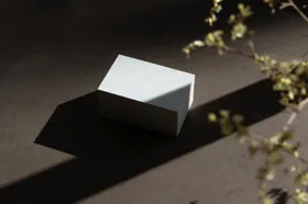 名片样机端午节活动划龙船粽香端午