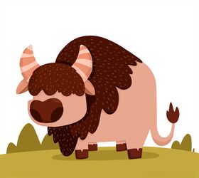 可爱草地上的野生牛